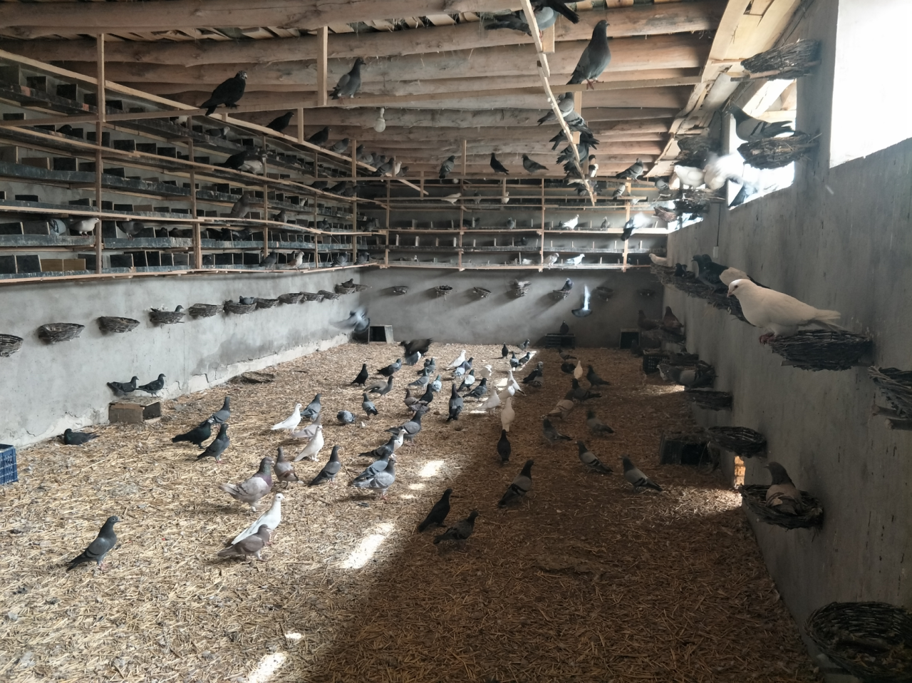 圖片關(guān)鍵詞