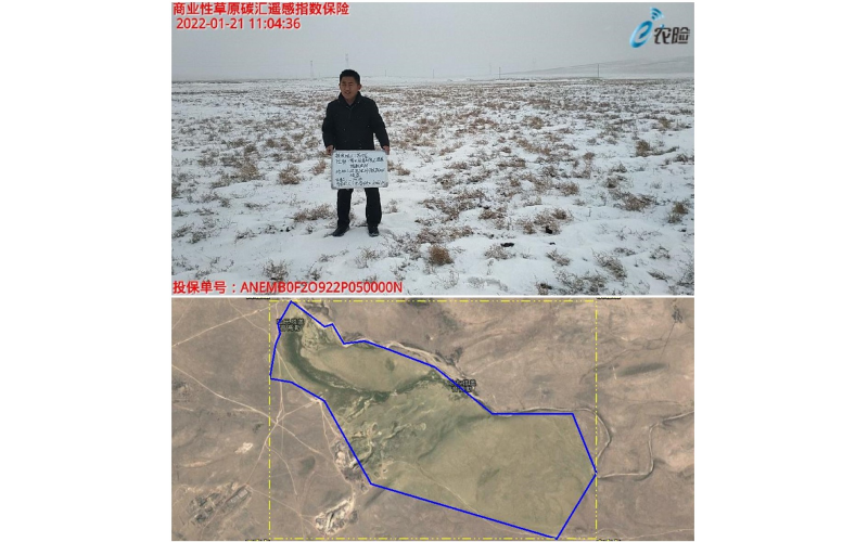 全國(guó)首單草原碳匯遙感指數(shù)保險(xiǎn)落地鹿城包頭